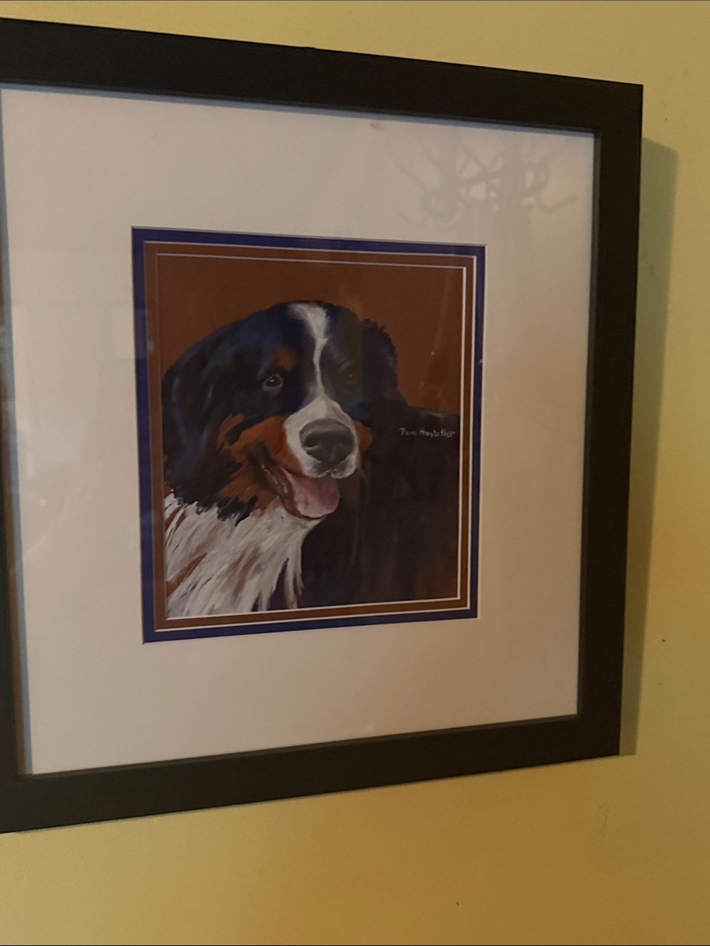 Framed Bernese Mountain Dog Wall Art - by Pam Hostetler